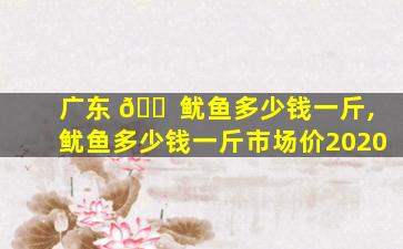 广东 🐠 鱿鱼多少钱一斤,鱿鱼多少钱一斤市场价2020